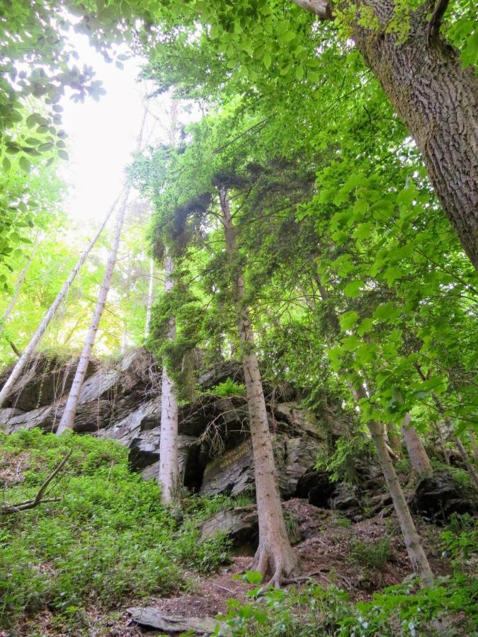 La Roche En Ardenne , Welcome Экстерьер фото